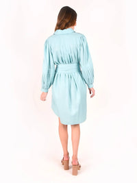 Oxford Dress