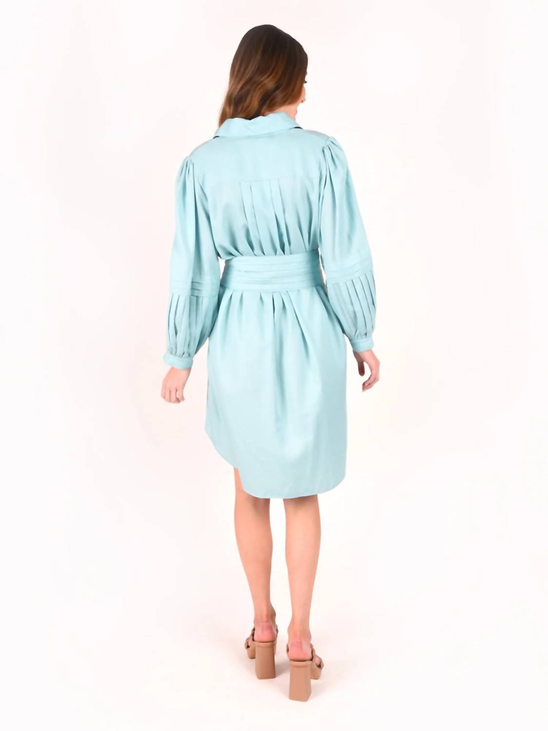 Oxford Dress
