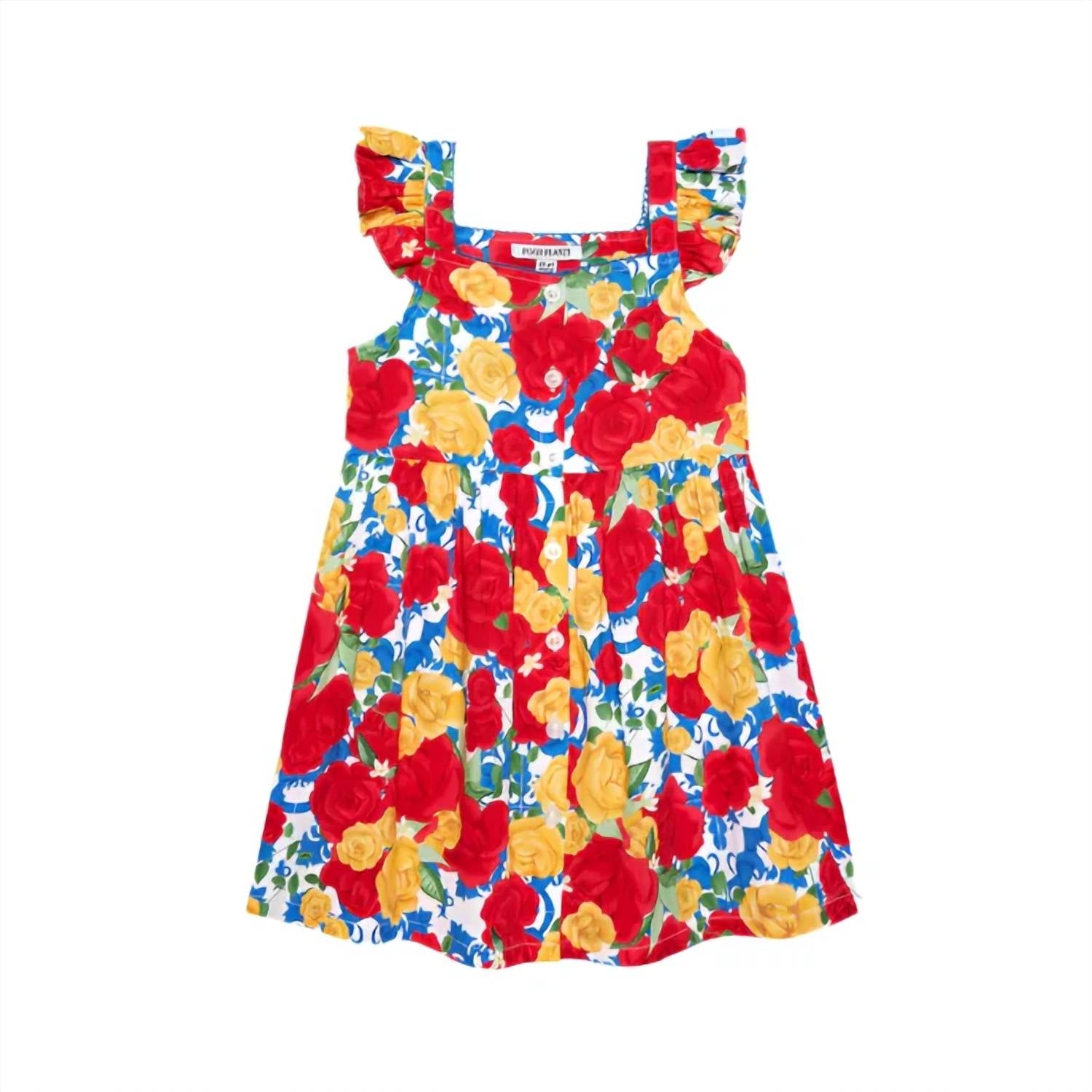 Posh Peanut - Girls Valentina Bamboo Challis Button-down Dress