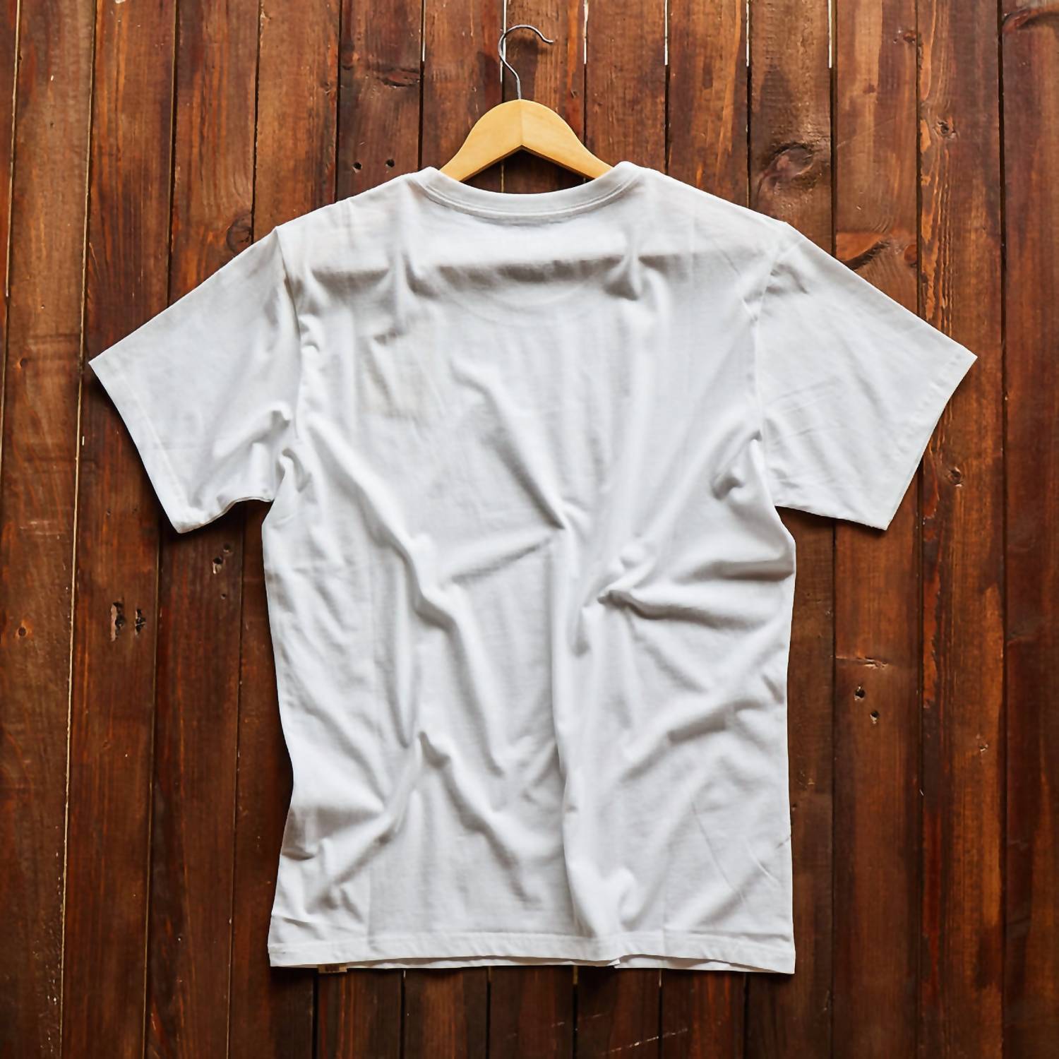 Iron & Resin Coast Pima Cotton Tee in white - men's t-shirt - view 4