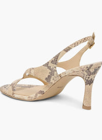 Dolce Vita - Women's Izela Modern Heel