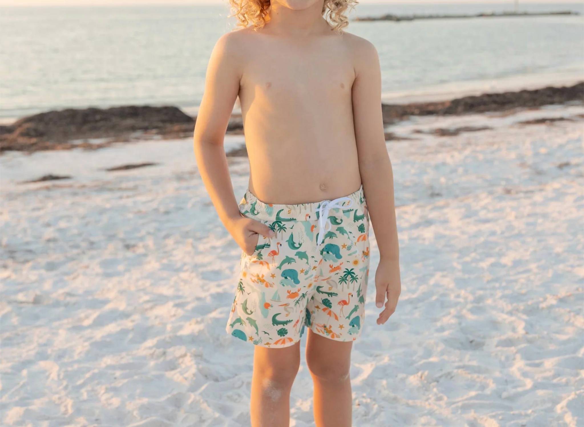 Emerson And Friends - Explore Florida Boys Swim Trunks