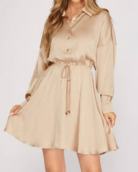 SHE + SKY Long Sleeve Collared Flare Dress in taupe - women's dress