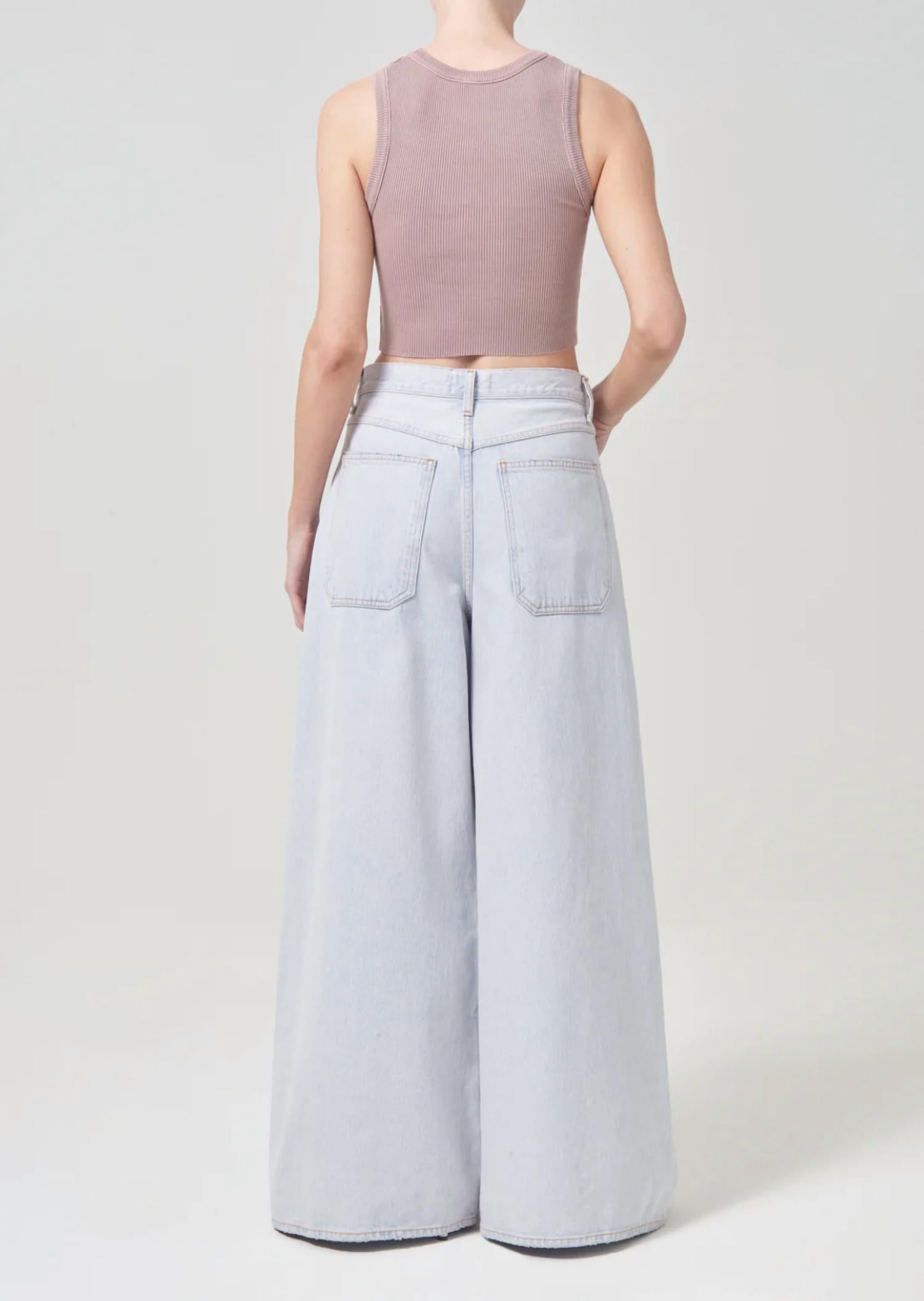 AGOLDE Nolan High Rise Wide Leg Jean in balloon - women's jeans - detail view