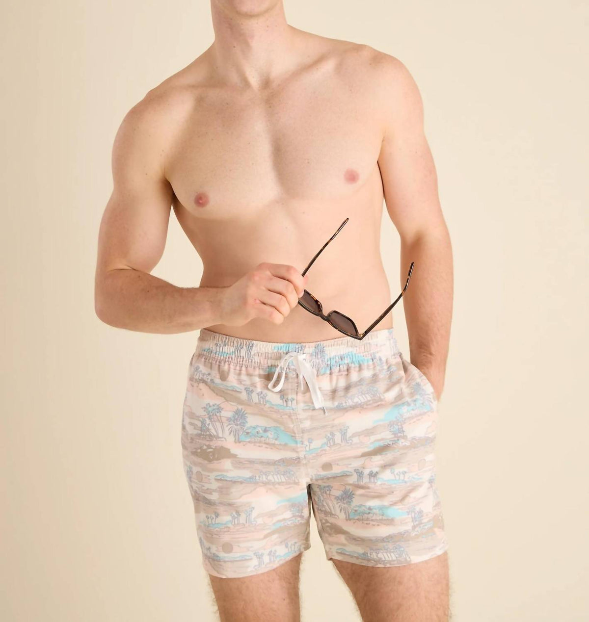 Chubbies - Day Trips 5.5" Classic Swim Trunks