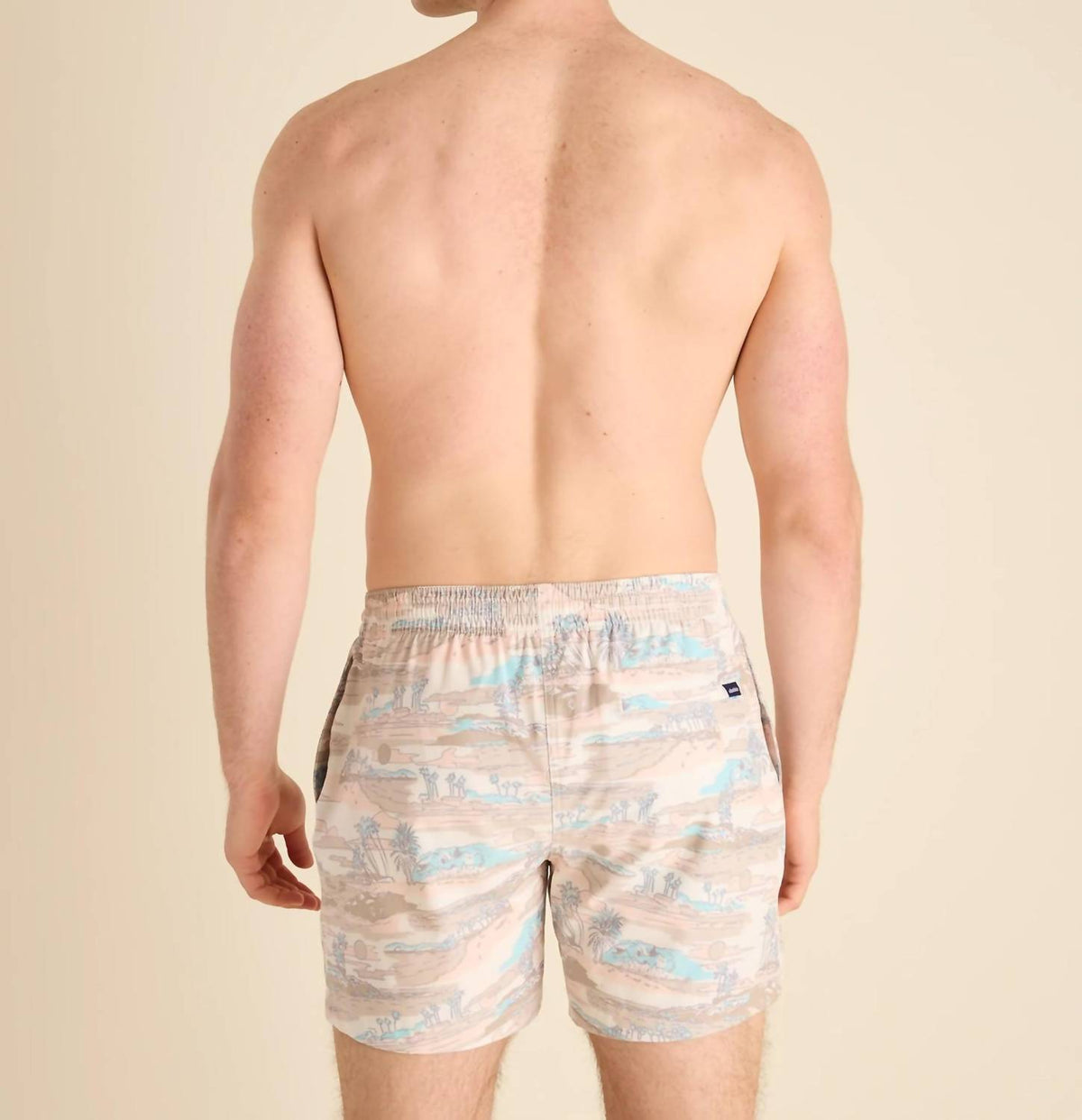 Chubbies - Day Trips 5.5" Classic Swim Trunks