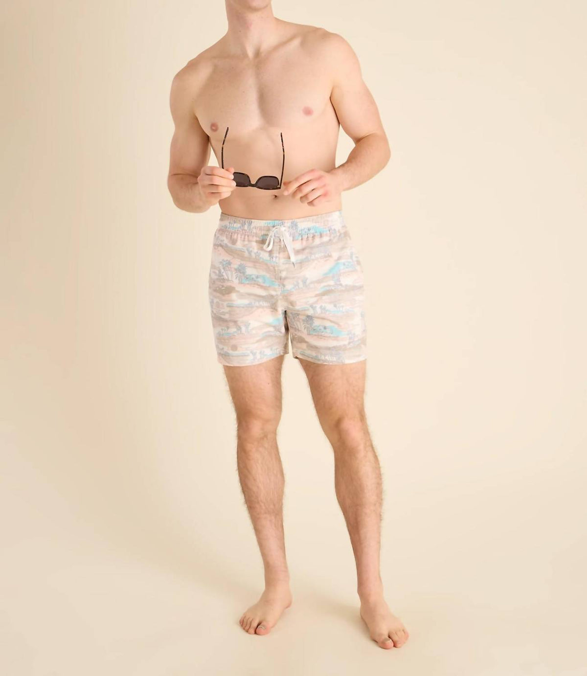 Chubbies - Day Trips 5.5" Classic Swim Trunks