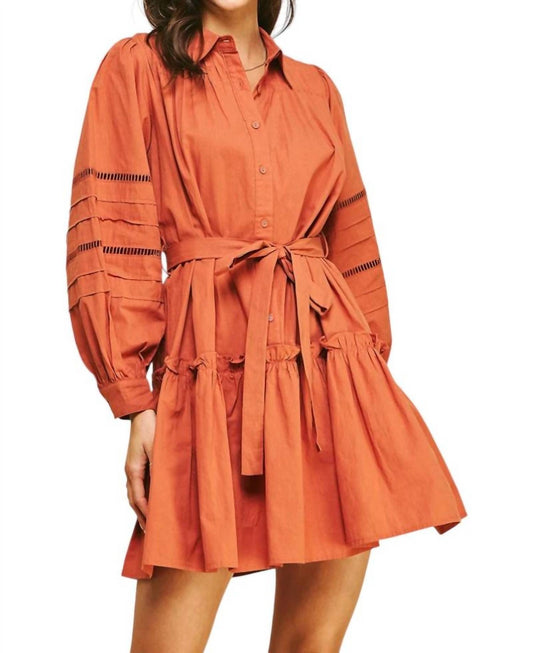 Pinch - Take a Chance Buttondown Belted Mini Dress