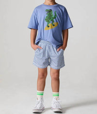Chaser - Vintage Jersey Check Beach Short