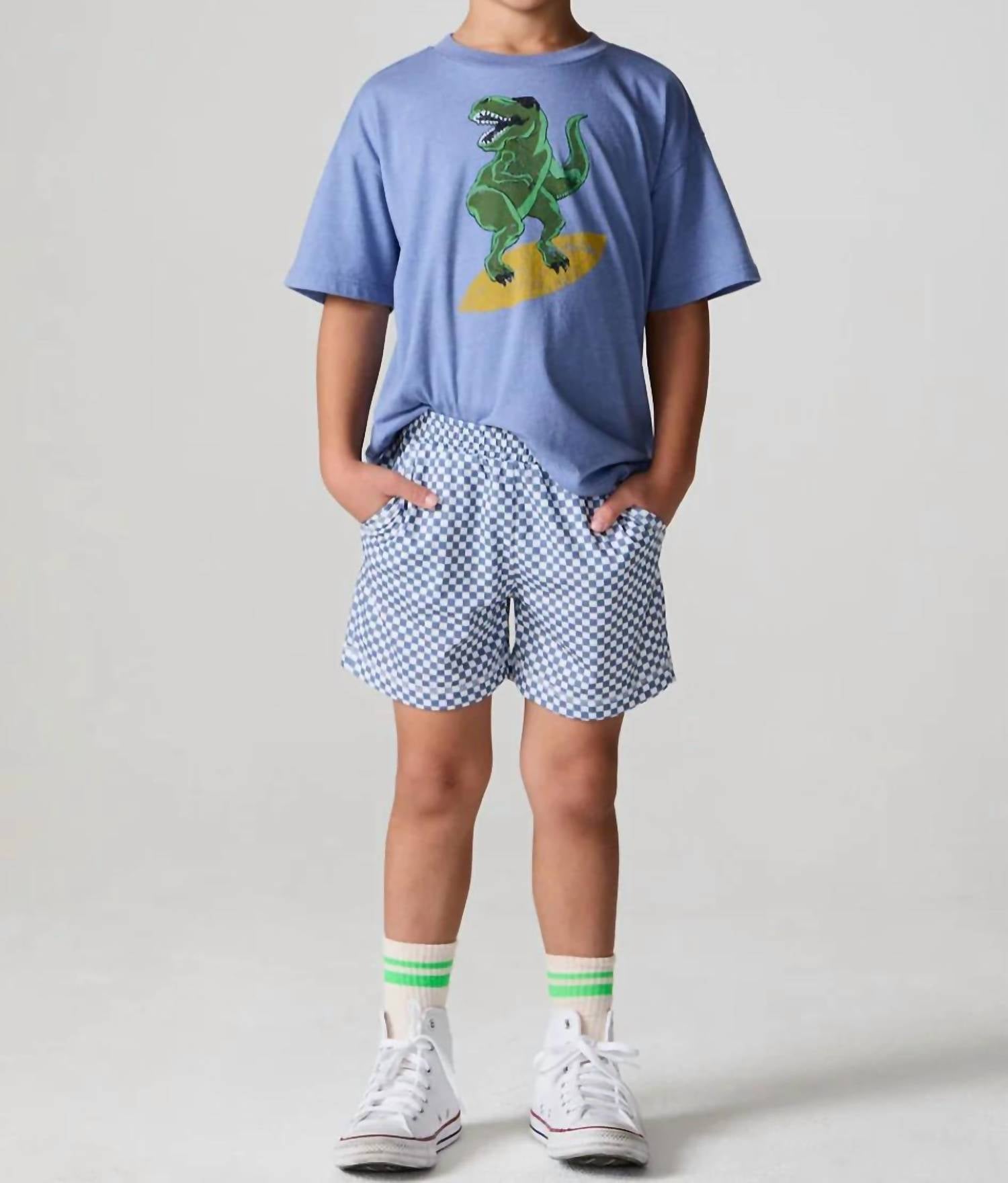 Chaser - Vintage Jersey Check Beach Short