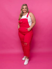 Risen - High Rise Distressed Denim Overalls