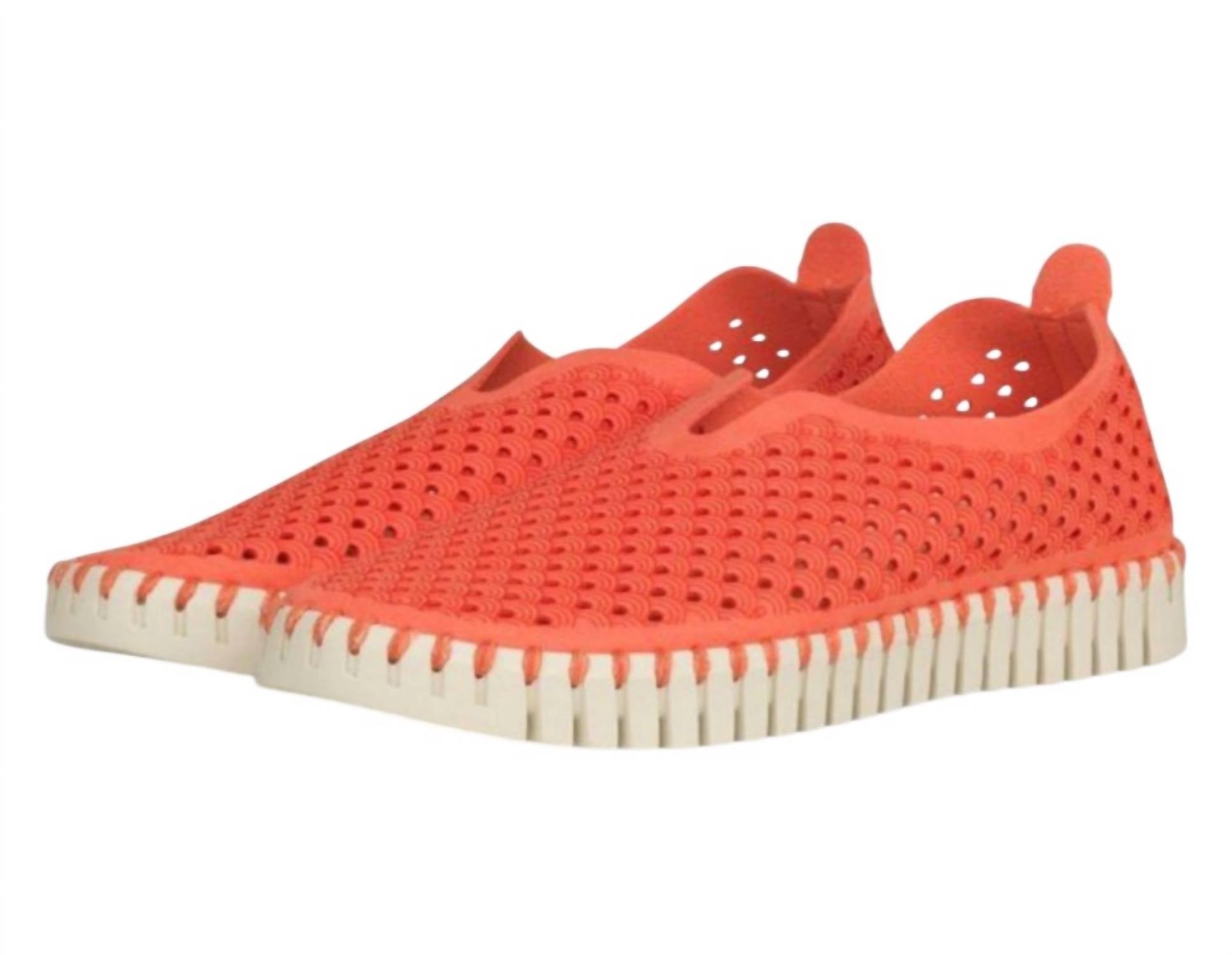 Ilse Jacobsen Women's Tulip Sneakers in raspberry white - women's sneaker - detail view
