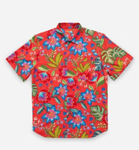 Johnny Was Men's Coverup Shirt in rumba - men's shirt