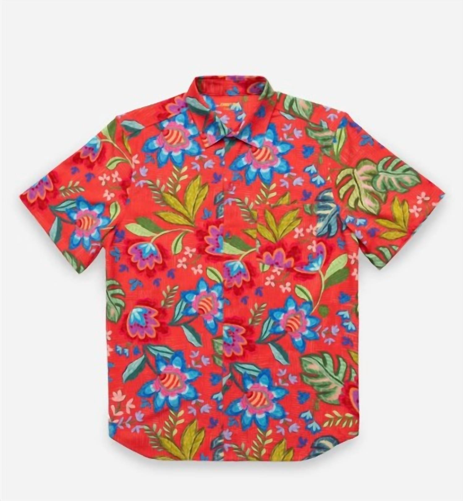 Johnny Was Men's Coverup Shirt in rumba - men's shirt