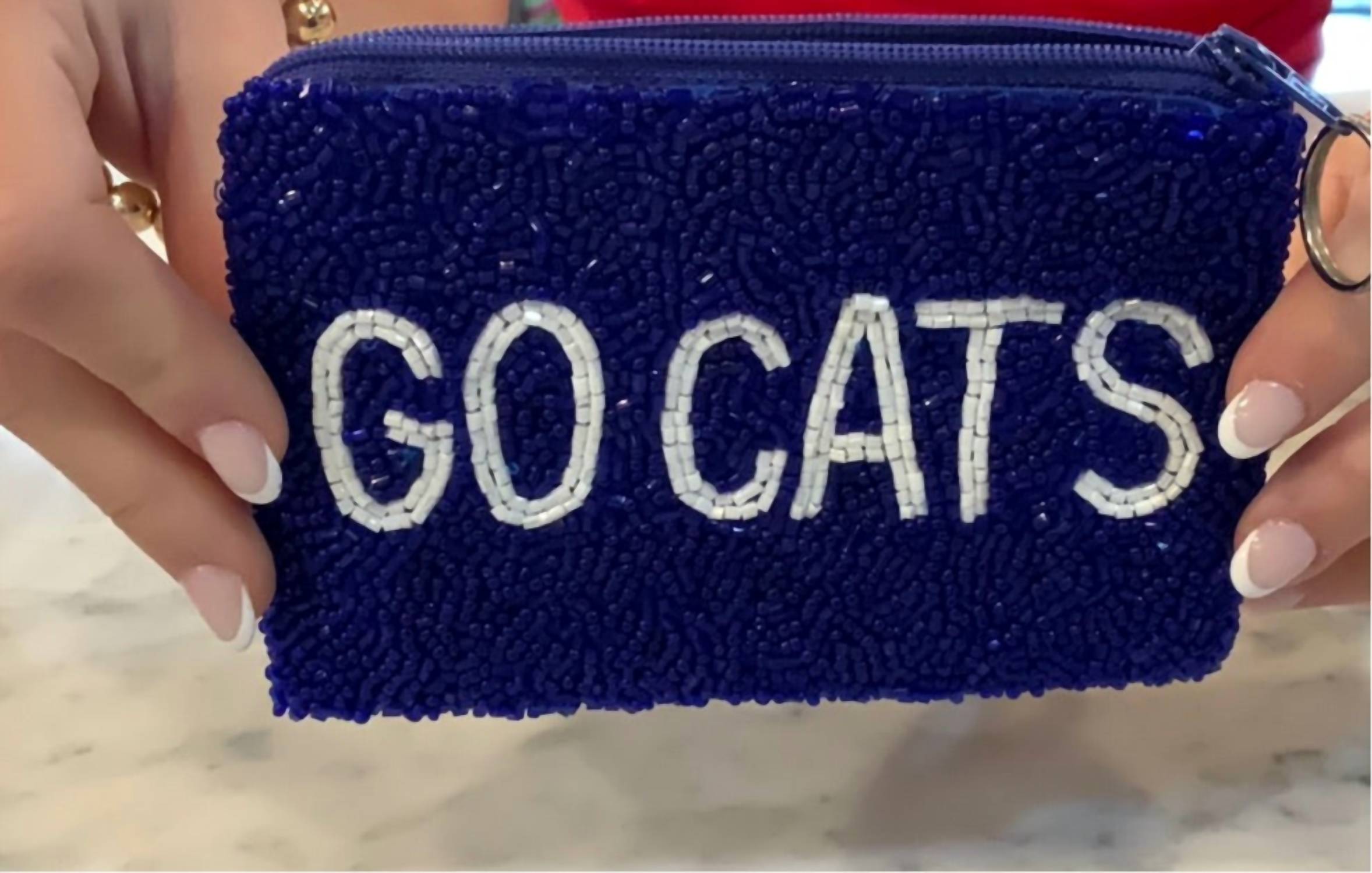 TIANA Uk Go Cats Beaded Small Coin Purse in blue - women's bag