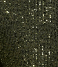 Skies Are Blue - Sequins Semi Flared Pants