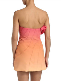 Acler - Catterick Mini Dress
