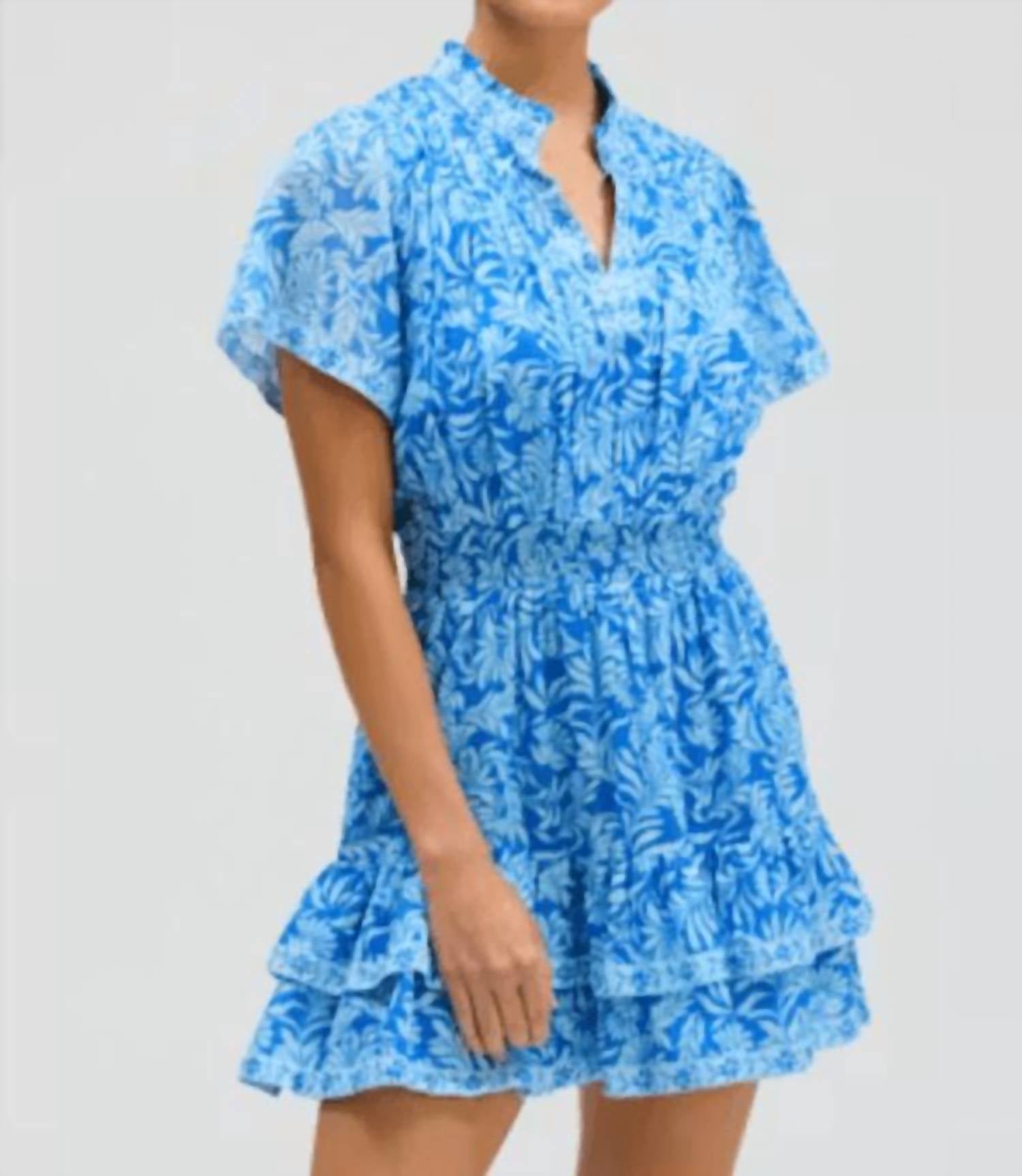 ALLISON NEW YORK Clara dress in blue - women's dress