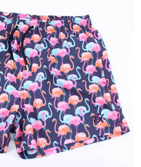 Eight X - Flamingo Print Swimwear