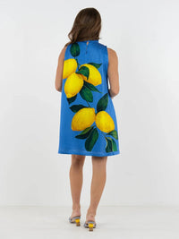 Emily Mccarthy - Milan Mini Dress