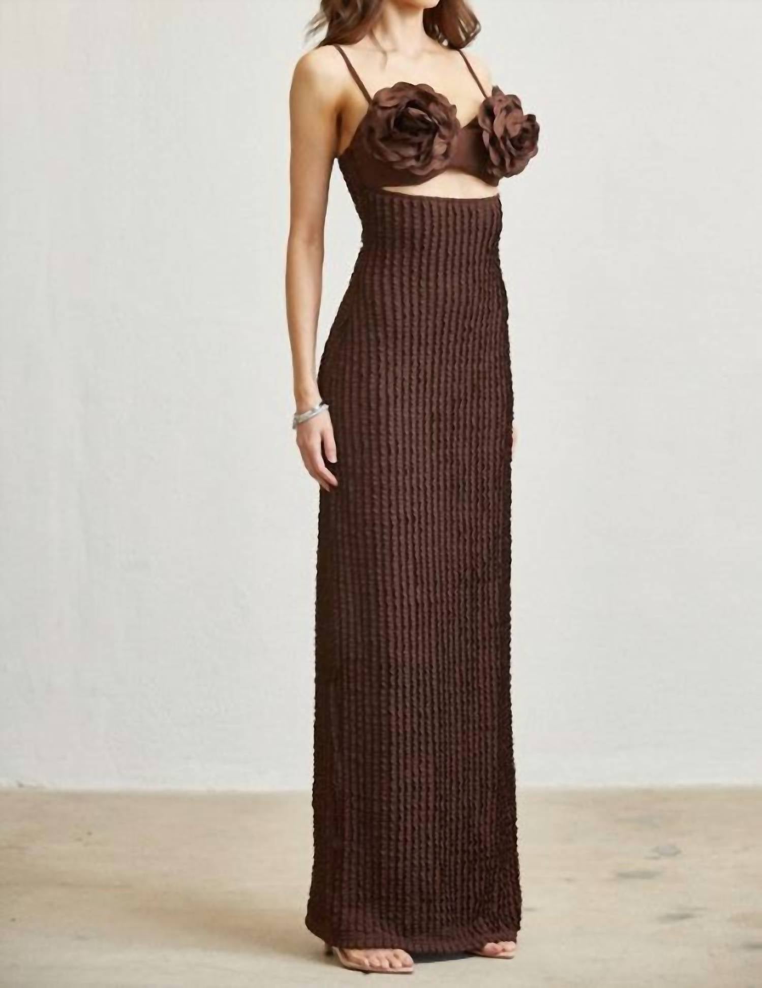 Blithe Millie Dress in brown - women's dress - detail view
