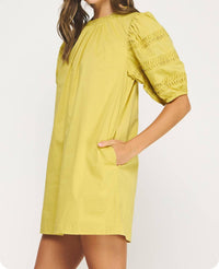 Strut & Bolt - Reverse Pintuck Puff Sleeve Mini Dress