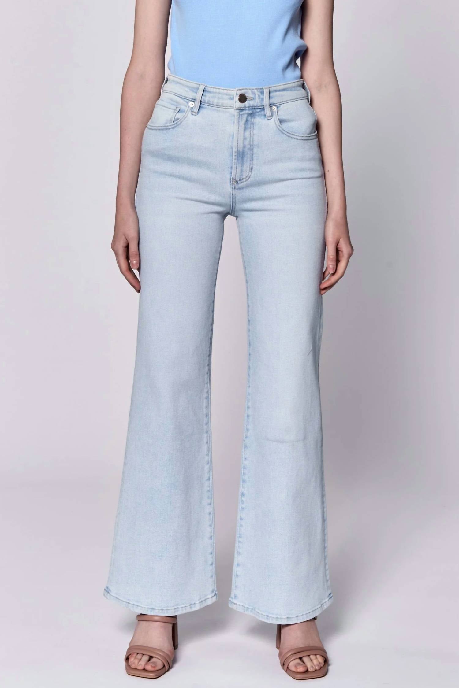 DEAR JOHN DENIM Fiona Wide Leg Jeans in finn - women's jeans