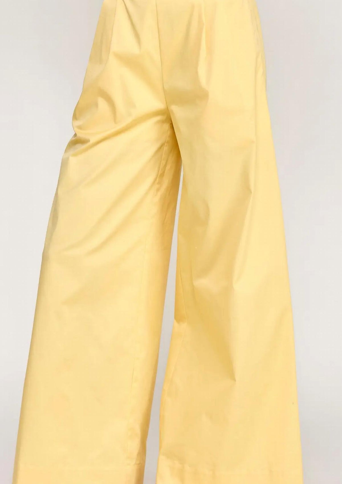 Strut & Bolt - Pleat Detail Wide Leg Twill Pants