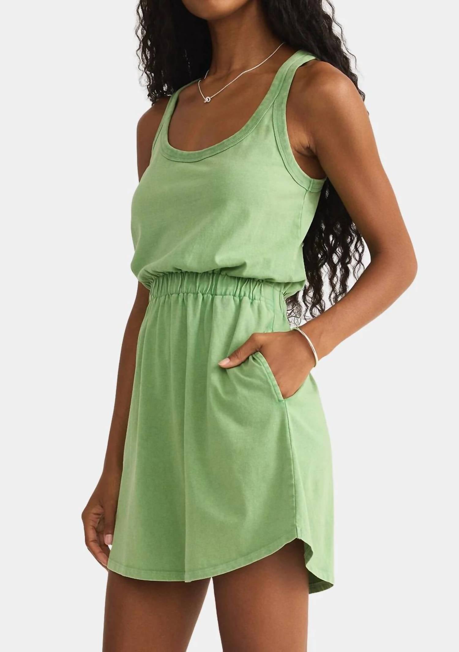 Z Supply - Keegan Mini Dress