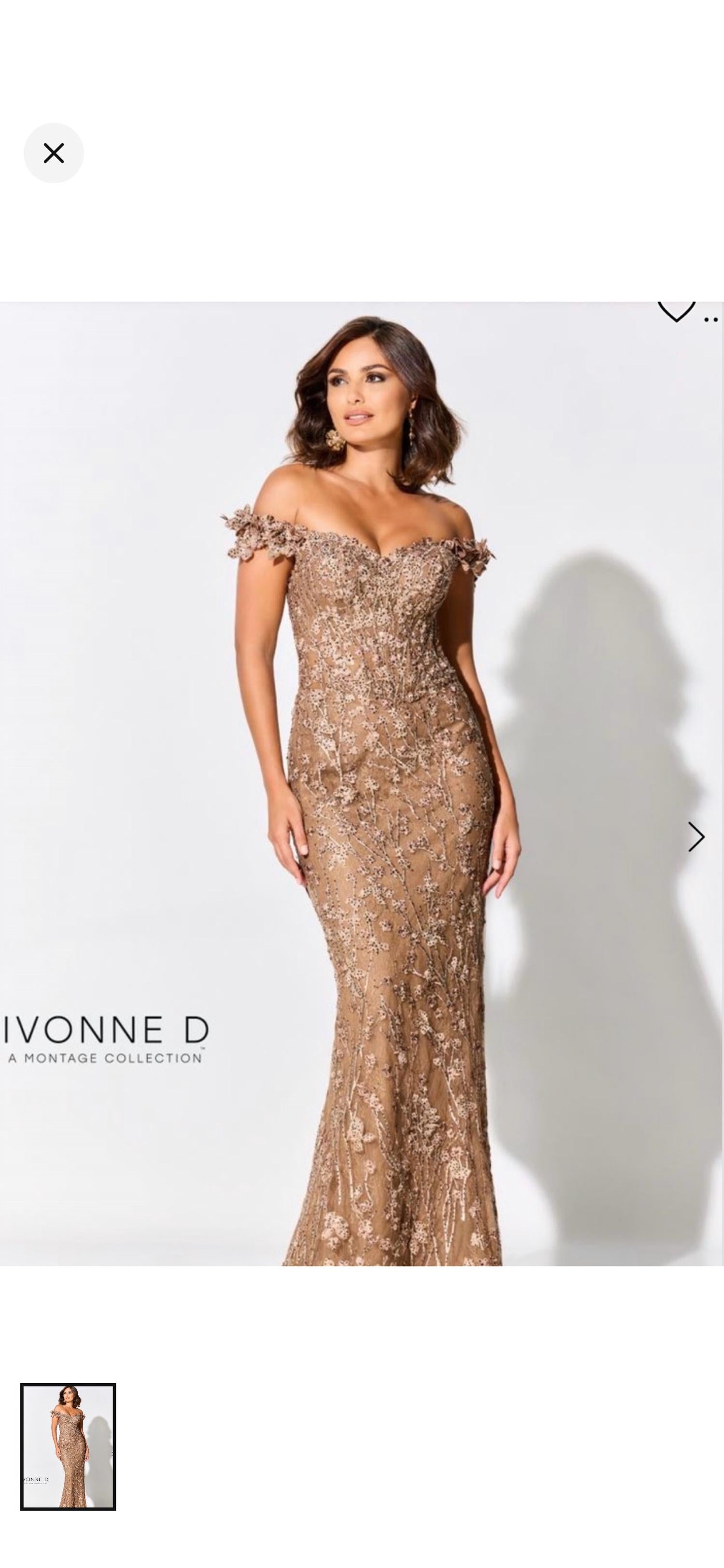 Ivonne D - Off the shoulder Allover Lace Gown