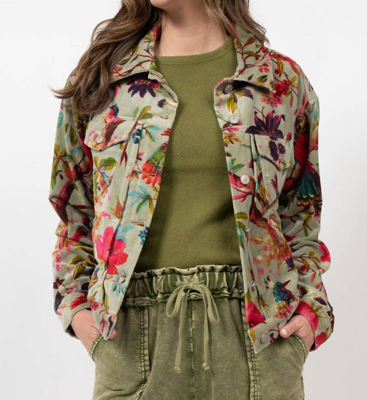 Ivy Jane - Bird Print Velveteen Jacket