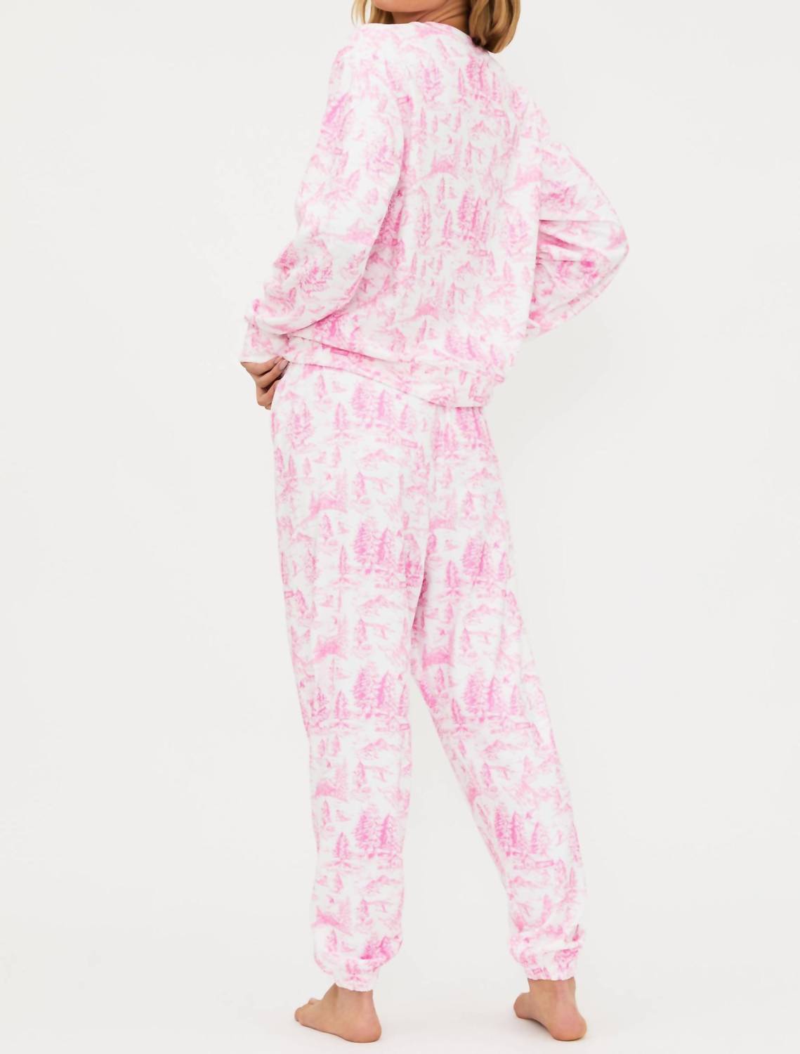 Beach Riot Georgie Ski Pant in powder pink - women's pants - detail view