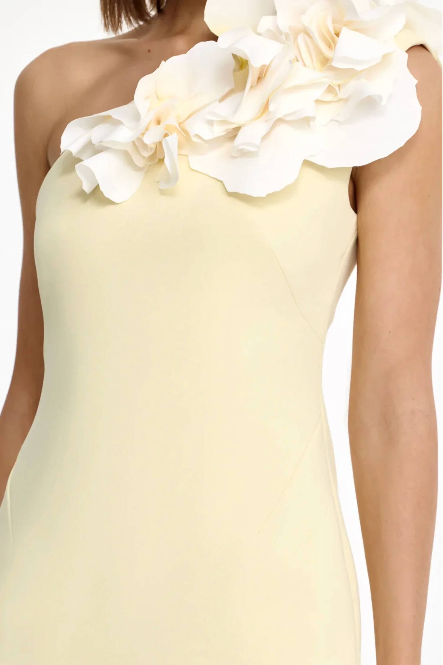 Acler - ZOFIA MAXI DRESS