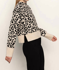 Sanctuary - Soft Touch Popover Sweater