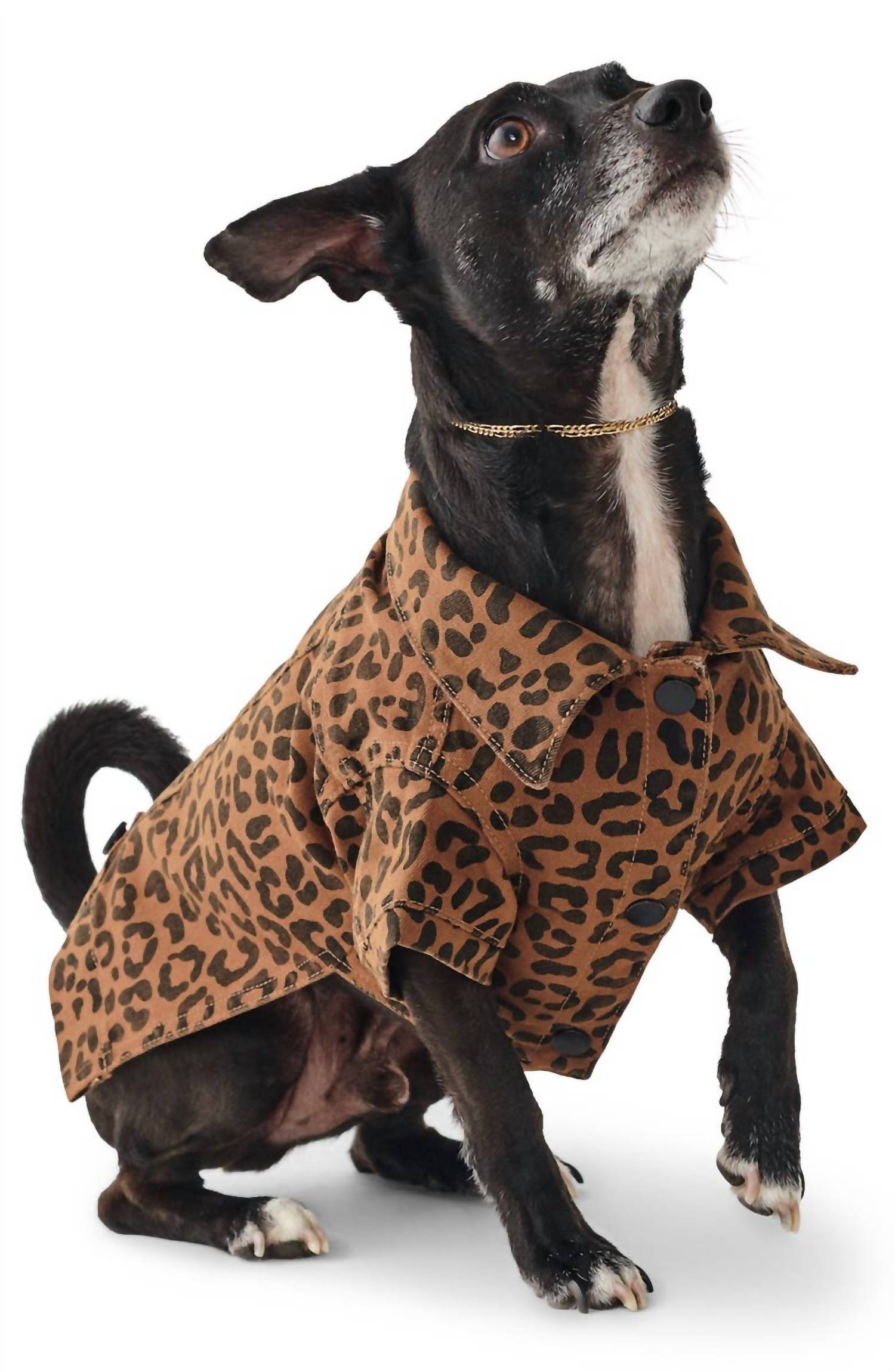Dl1961 - Pet'S - FIDO CANINE TRUCKER JACKET