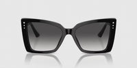 Jimmy Choo - Women's Cat Eye Sunglasses