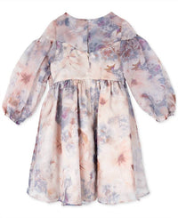 Rare Editions - Toddler & Little Girls Balloon Sleeve Floral Organza Dress