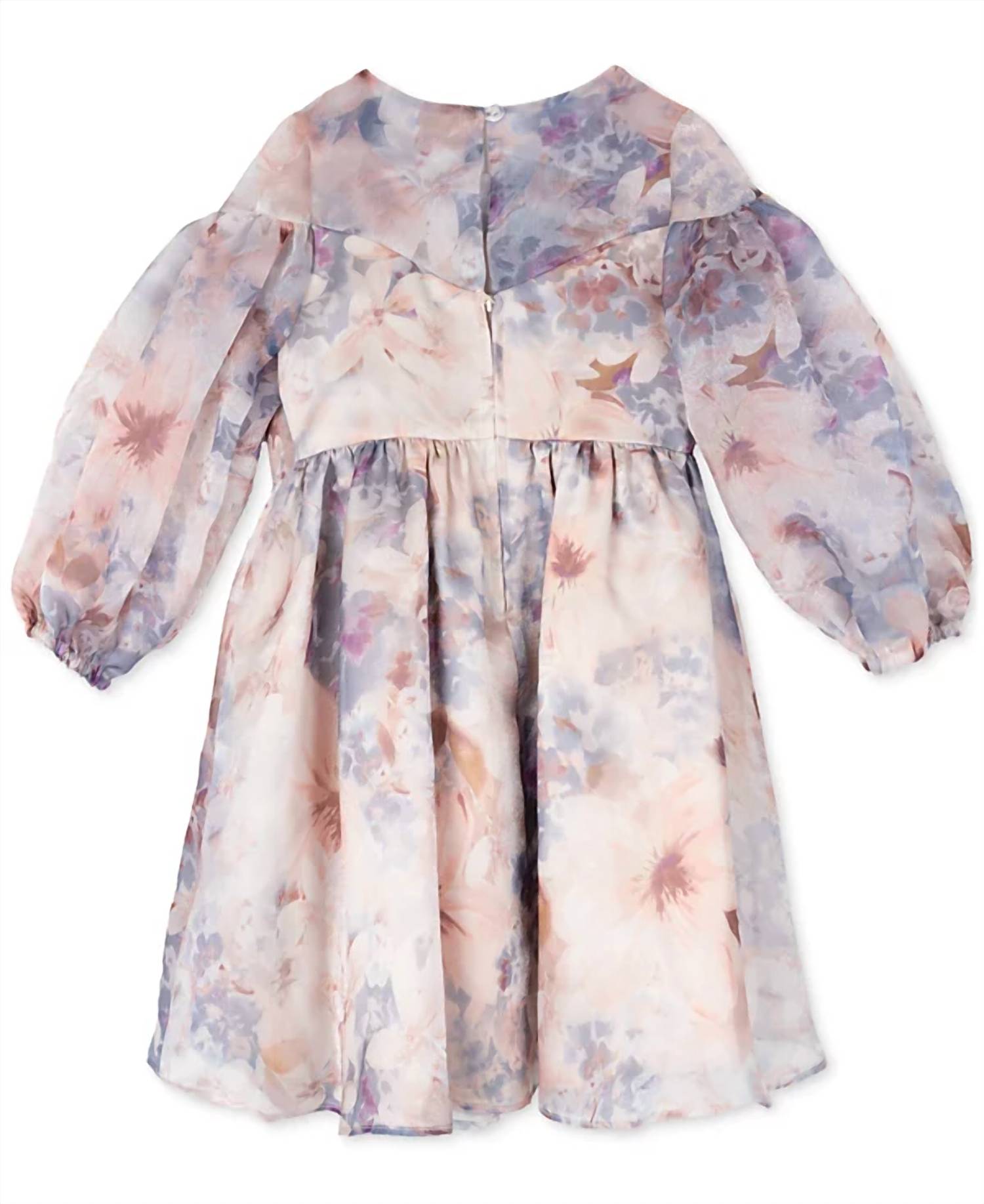 Rare Editions - Toddler & Little Girls Balloon Sleeve Floral Organza Dress