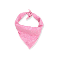 The Oxford Dog - Dog's Classic Look Bandana