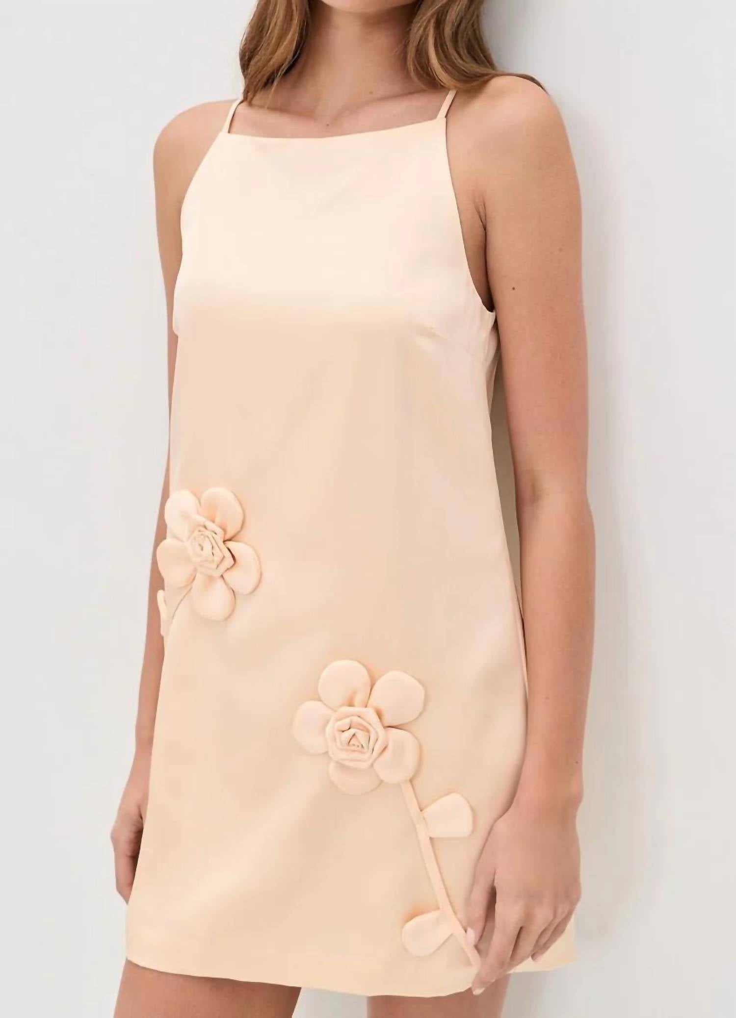 Astr - Marigold Mini Dress