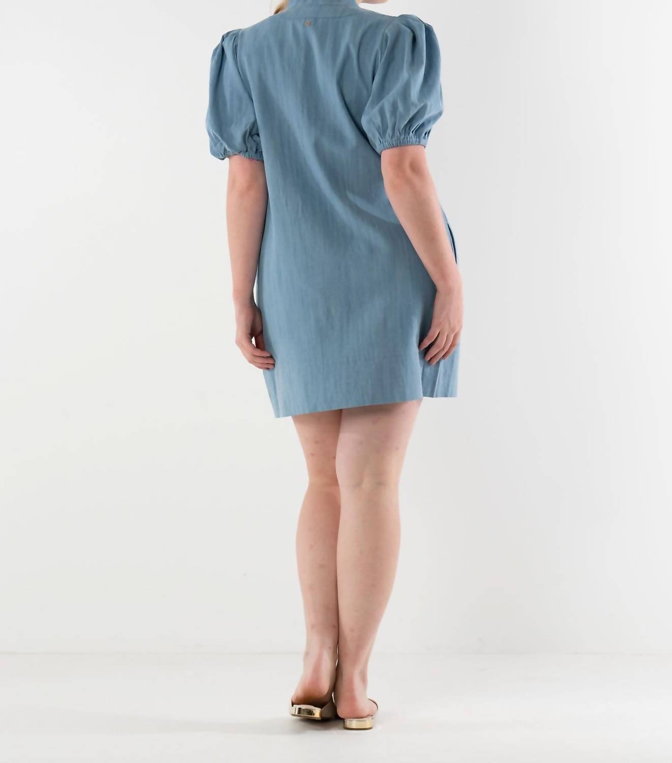 Emily Mccarthy - Hampton Denim Mini Dress