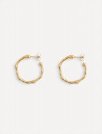 forte forte Women's Small Hoop Earrings in oro gold - women's jewelry