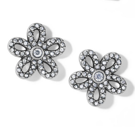 Brighton - Women's Illumina Daisy Post Earrings