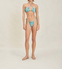 Devon Windsor - Willow Top