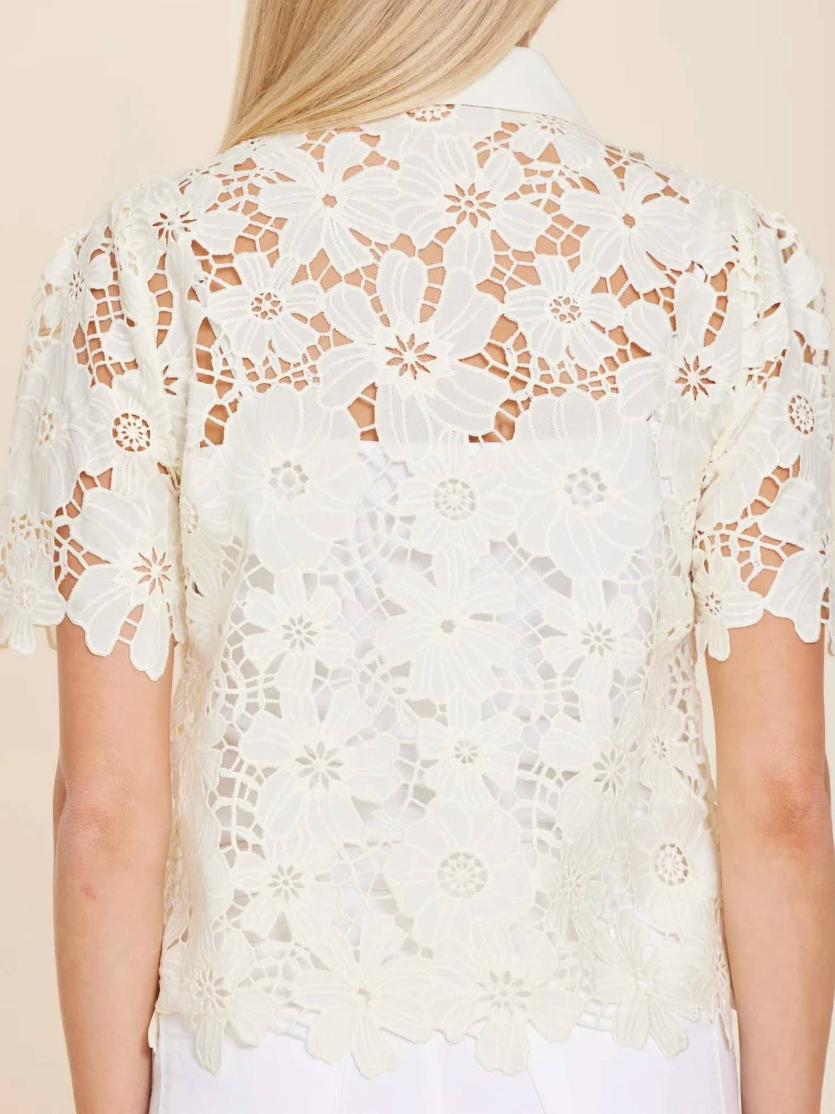 Dolce Cabo - Lace Collared Shirt