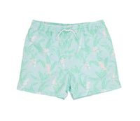 The Beaufort Bonnet Company - Boys' Tortola Swim Trunks