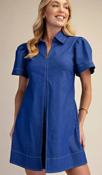 Glam - Collar V-neck Pleated Mini Dress