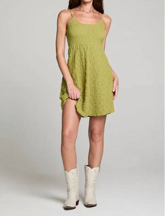 Saltwater Luxe - Jazmyn Mini Dress