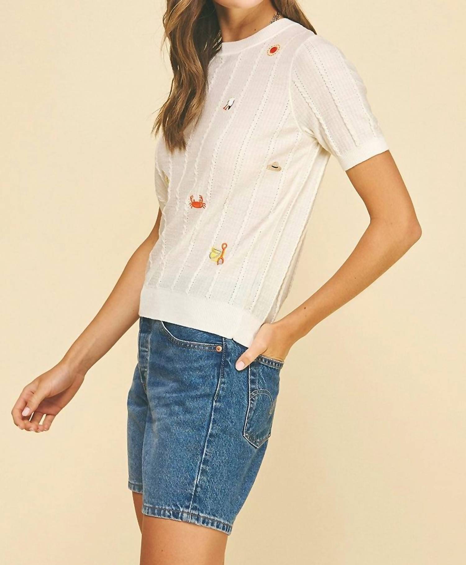 Pinch - Seaside Embroidered Knit Sweater