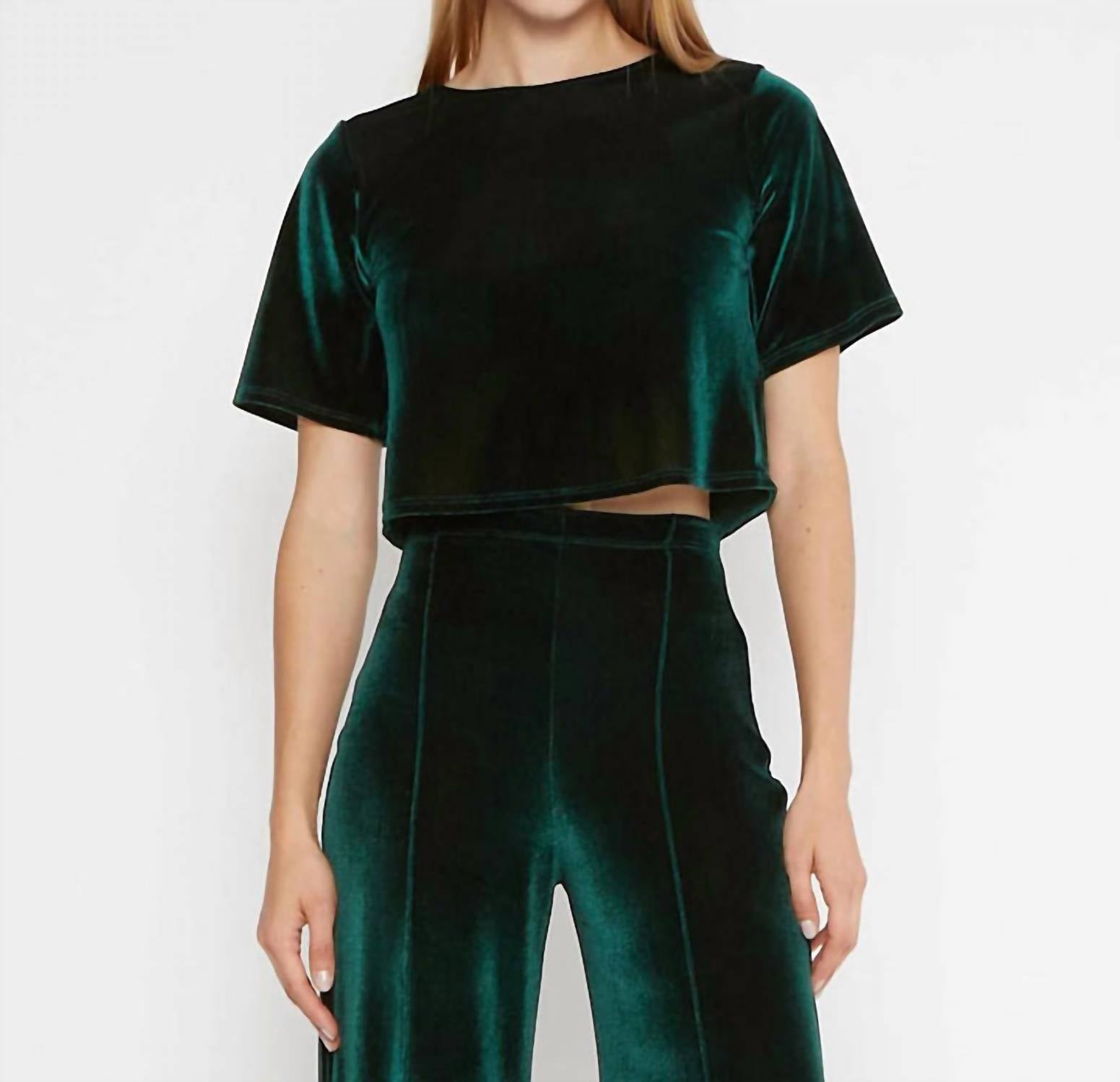 Ripley Rader - Velvet Short Sleeve Top